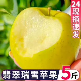 陕西白水正宗瑞雪苹果新鲜水果整箱孕妇儿童水果纯甜无酸带花香