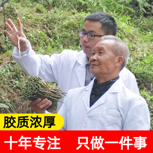 徽真斛霍山铁皮石斛鲜条 精选新鲜送长辈礼物煲汤养生补礼品500g