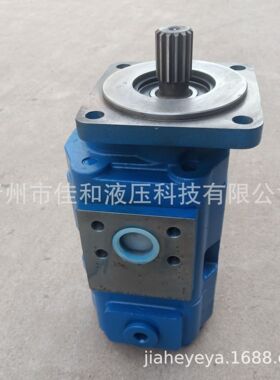 中国联强夯机双联泵  GSA3063/CBXF3016-124R    联强夯机齿轮泵