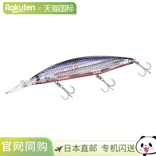 日本直邮Daiwa Lure Shoreline Shiner Z 套装上部 Fullback LI 1