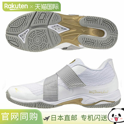 日本直邮美津浓 Wave Divers LG LITE 3 健身鞋 (31GF260201) 男
