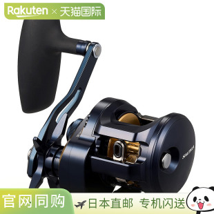Daiwa 卷轴 25 Saltiga 300H 4