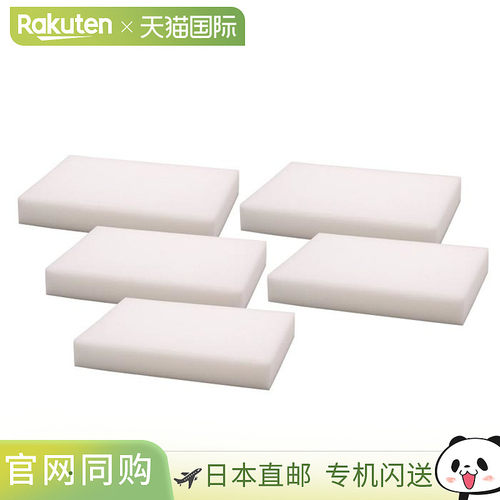 日本直邮EVERNEW 男女通用 少年 吸水海绵 5 片装 场地维护用品 E