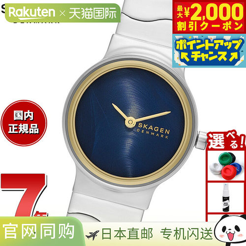 日本直邮Skagen 女士 Freja Lillie 双指针银色不锈钢手表 SKW317