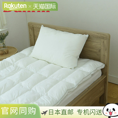 Danfill 枕头 寝具 Fyver Pillow 可洗 透气 JPA221