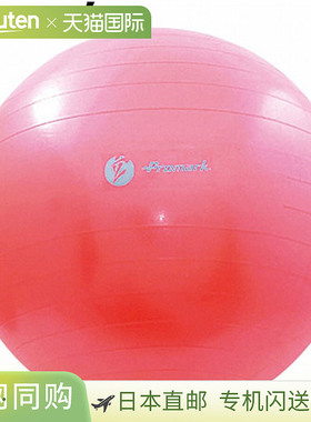 日本直邮PROMARK 训练项目平衡球 2 级 65 厘米 包括由 Ryuji Tac