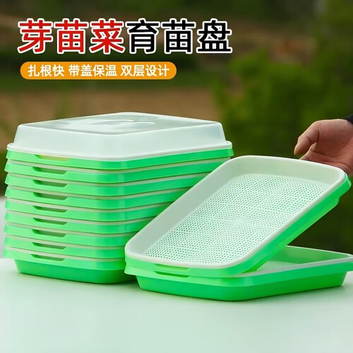 阳台无土水培100孔育苗盘