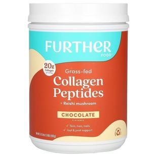 Fed Collagen Peptides Further Mushroom Grass Reishi Food