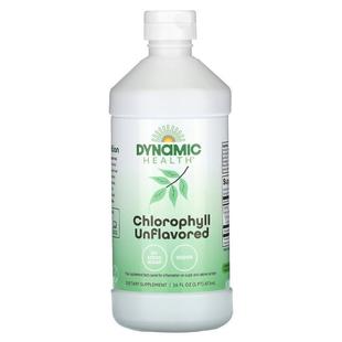 Dynamic Health,Chlorophyll, Peppermint, 16 fl oz (473 ml)