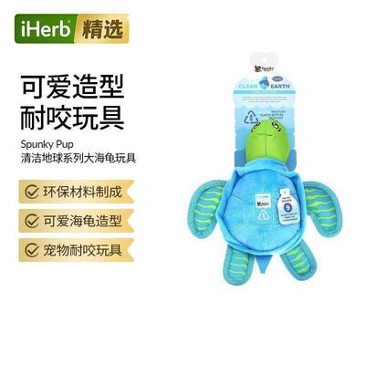 Spunky Pup,Clean Earth Collection, Large Turtle , 1 Toy