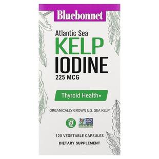 Sea Atlantic Kelp Iodine Capsules Bluebonnet 120 Nutrition