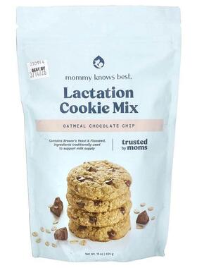 Mommy Knows Best,哺乳饼干混合物，燕麦巧克力碎，16 盎司（454