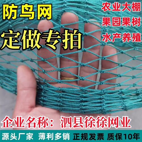 防鸟网养鸡网K爬藤网尼龙网