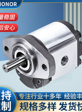 台湾钰盟HONOR齿轮泵1AG1P01R 1AG1P02R 1AG1P27R