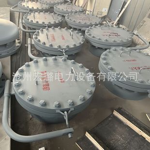 垂直吊盖带颈对焊法兰人孔HG 2014罐侧人孔DN600钢制耐压 T21521