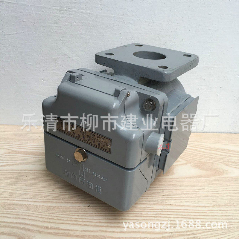 变压器气体继电器 QJ4G-50TH QJ4G-80TH 瓦斯继电器