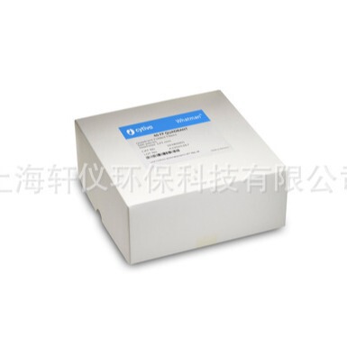 10600087 沃特曼Amersham Hybond P 0.45 PVDF 印迹膜10张/包