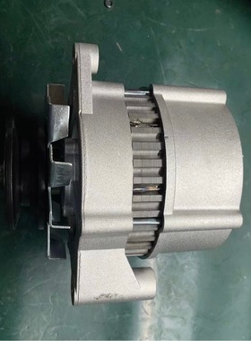 JFZ192发电机2409002310113发电机JFZ17发电机叉车发电机