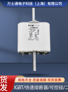 巴斯曼熔断器170M6008170M6009170M6010170M6058170M6060现货