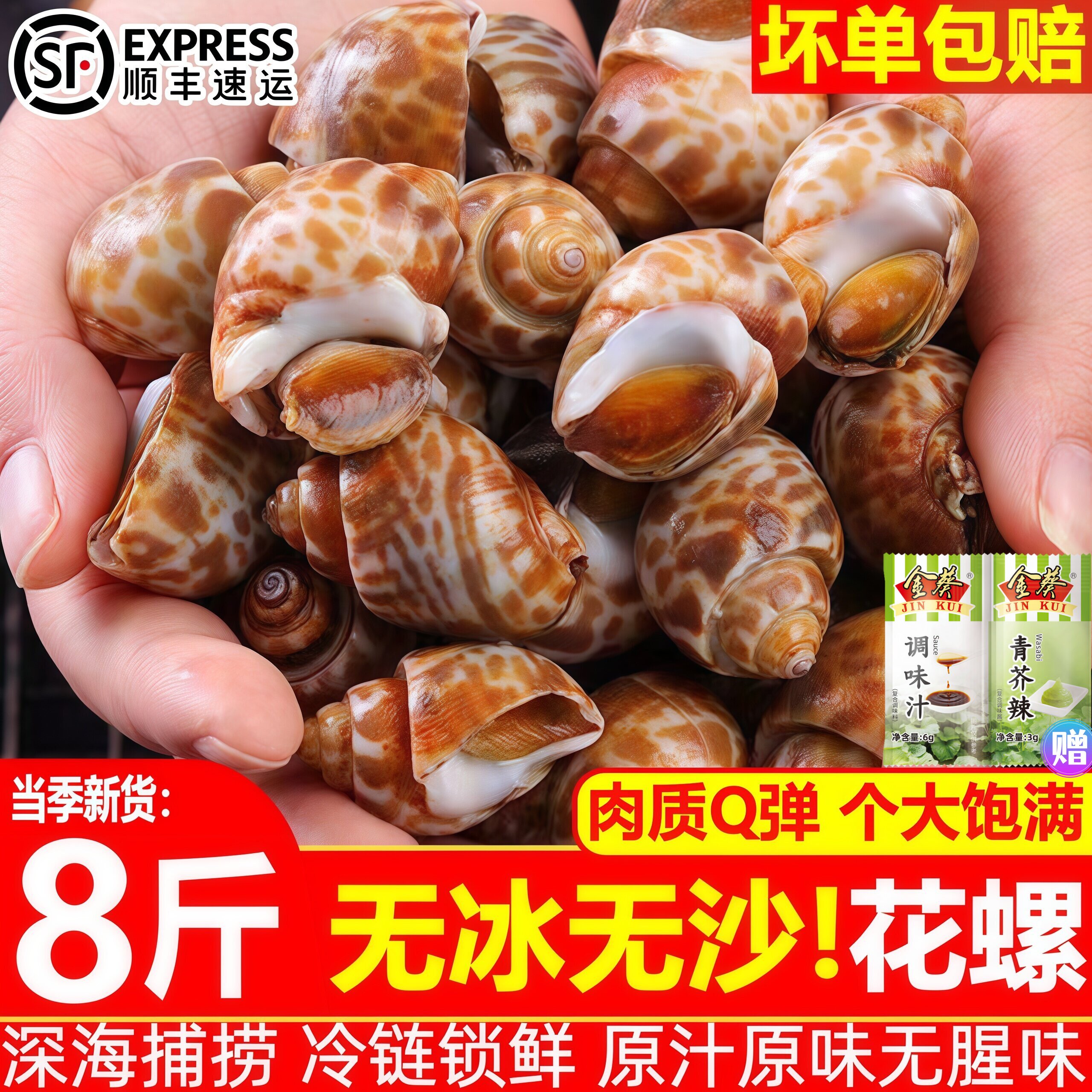 花螺鲜冻顺丰包邮新鲜海螺特大号海鲜水产鲜活冷冻东风螺特大花螺