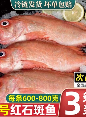 红石斑鱼新鲜冷冻大红鱼多宝鱼深海黄花鱼速冻金鲳鱼鲈鱼海鲜顺丰