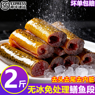 去头野黄鳝鱼鲜活现杀去骨去肠去内脏鳝丝鳝片纯中段鱼肉顺丰批发