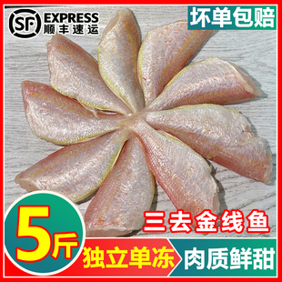新鲜三去金线鱼速冻金线鱼新鲜海鱼无冰金线鱼红杉鱼整箱批发