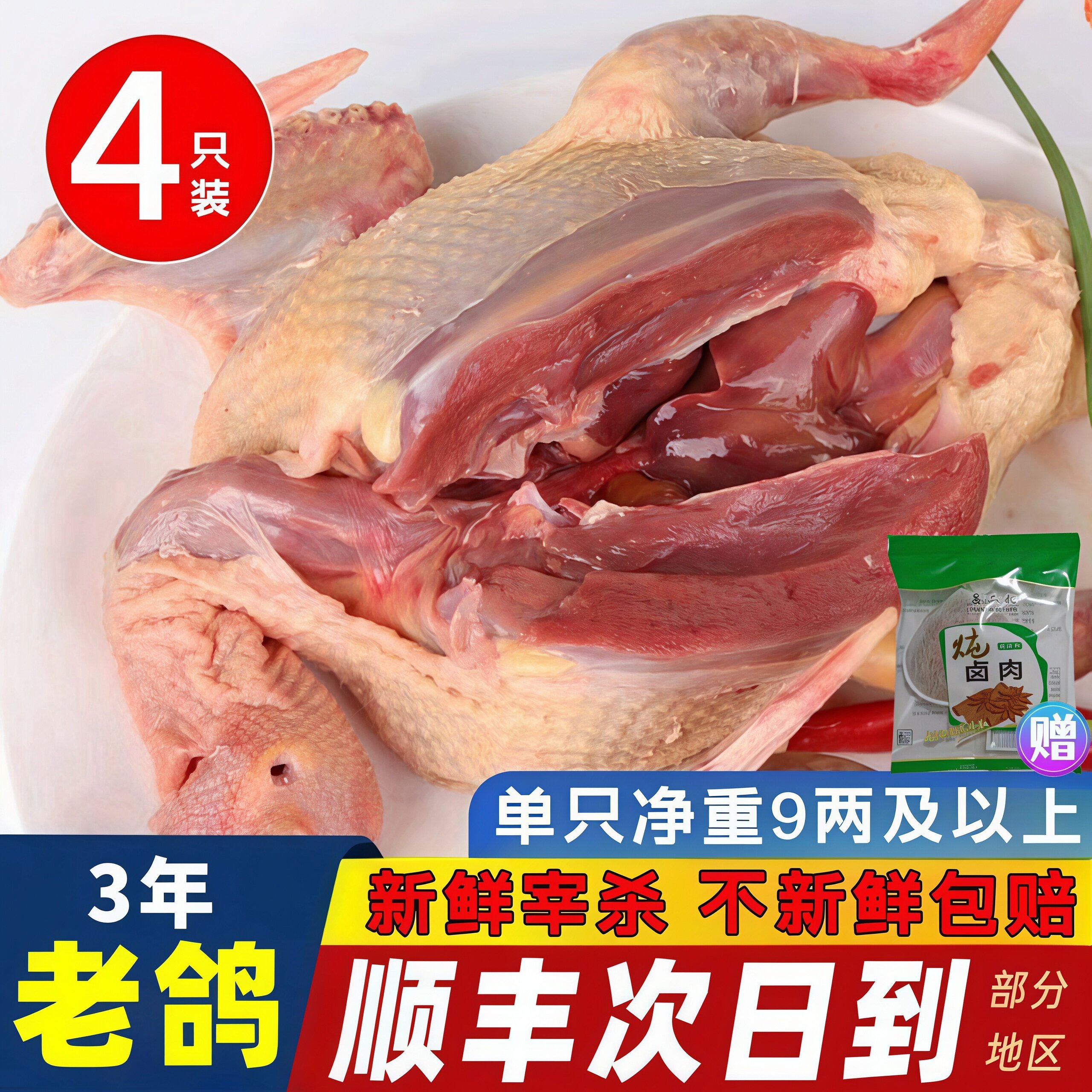 真乳鸽带爪新鲜冰鲜乳鸽煲汤