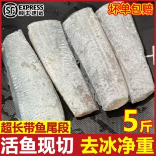 带鱼尾段新鲜带鱼尾巴段刀鱼带鱼精选带鱼尾段活鱼现切饭店商用