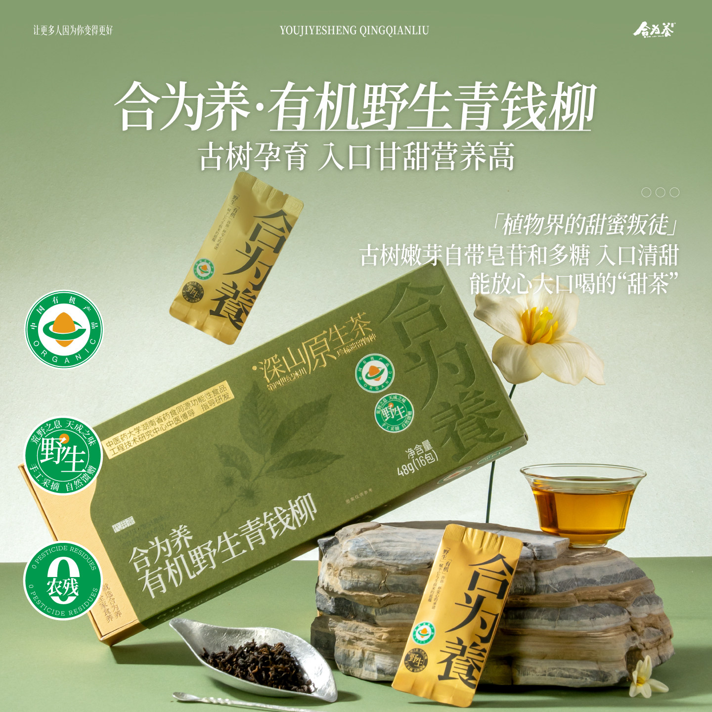 合为养 有机野生青钱柳茶养生茶 青钱柳叶茶饮 养生茶