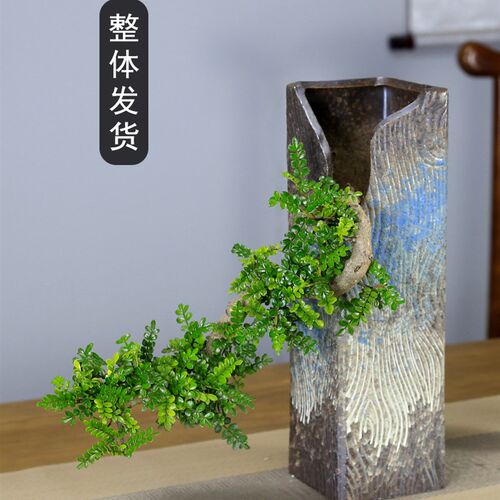 清香木盆景植物悬崖造型老桩室内客厅H办公室盆栽阳台绿植茶室摆