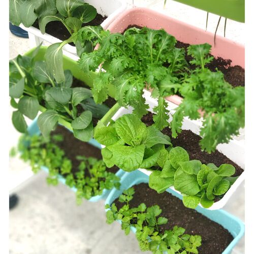 阳台护栏花架悬挂k式花盆种菜挂架挂壁式多层绿植草莓栏杆种植组