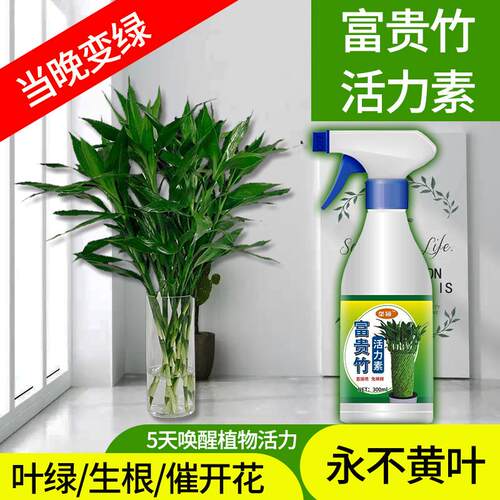 富贵竹活力素神仙水促生根花卉绿植绿H萝多肉盆栽水培营养液水溶