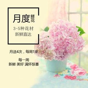 家庭插花青岛g鲜花同城速递玫瑰包月花束套餐每周一花 玫瑰套餐