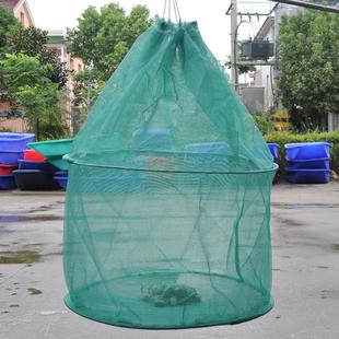 存鱼网箱小型暂养鱼小网箱鱼笼养鱼螃H蟹龙虾网笼吊笼养殖专用折