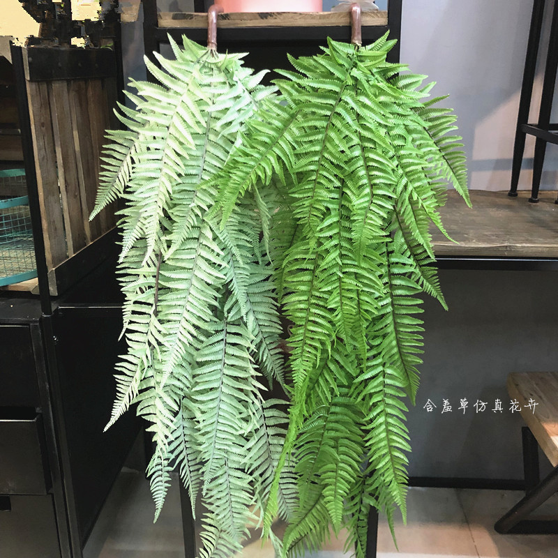 仿真大蕨草蕨叶i蕨类植物工程造景绿植壁挂酒店软装绿植婚庆装饰