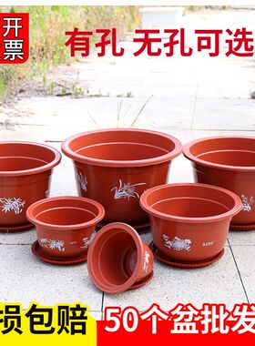 塑料花盆睡莲无孔有孔耐用碗莲绿萝育苗盆L低价促销处理加厚特大