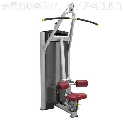 UE R高拉背肌训练22536器商用健身器材企事业健房CC身15