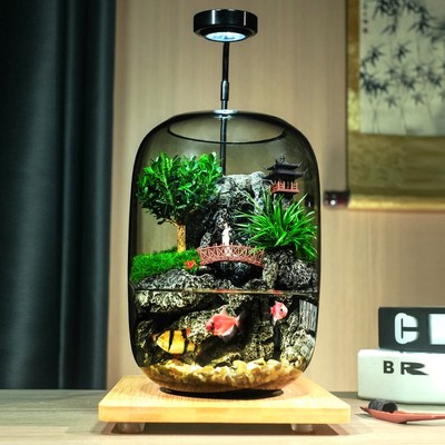 小桥流水苔藓微景观流水款养鱼缸真植物I生态瓶办公室成品乔迁送
