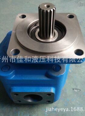 德工装载机JHP3160齿轮泵 多种规格 运行稳定