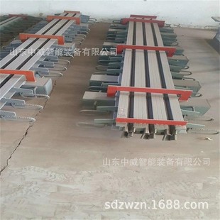 240模数式 公路桥梁GQF 160 桥梁用毛勒伸缩缝 伸缩缝 C40型伸缩缝