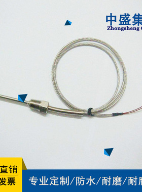 中盛端面铂电阻端面热电阻 PT100 WZPM2 φ4*10*5000