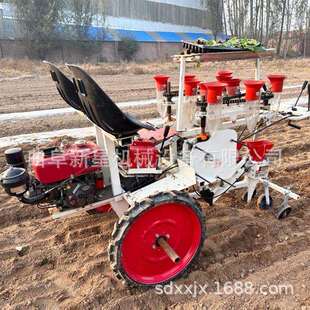 农用自走式两行蔬菜移栽机辣椒西红柿种植机旱地农作物栽苗机