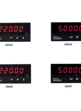 青智仪器 ZW1651\1652\1659\1658\1620\V\A\W\C\F 1000Hz中频表