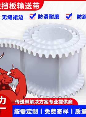 厂家pvc绿色裙边挡板输送带防滑耐磨无缝裙边不藏料不漏料