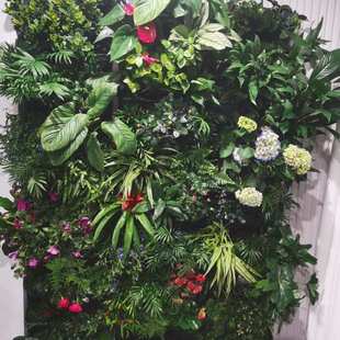 阳台移动植物墙花架户外庭院落地绿植墙花盆架子多层蔬菜种植架