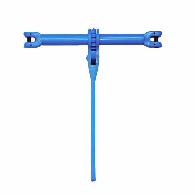 100级羊角型棘轮拉紧器,电子元器件市场,其它元器件,淘宝优惠券,粉丝福利购,淘宝优惠卷