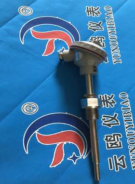 WRE2-330盐浴炉热电偶WRC2-82A/WRC2-430G