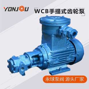 WCB30铸铁防爆电动齿轮泵手提抽油泵微型齿轮油泵加油自吸泵