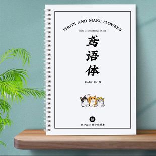 鸢语体女生字体练字帖硬笔临摹大气字体文案语录硬笔临摹练字帖